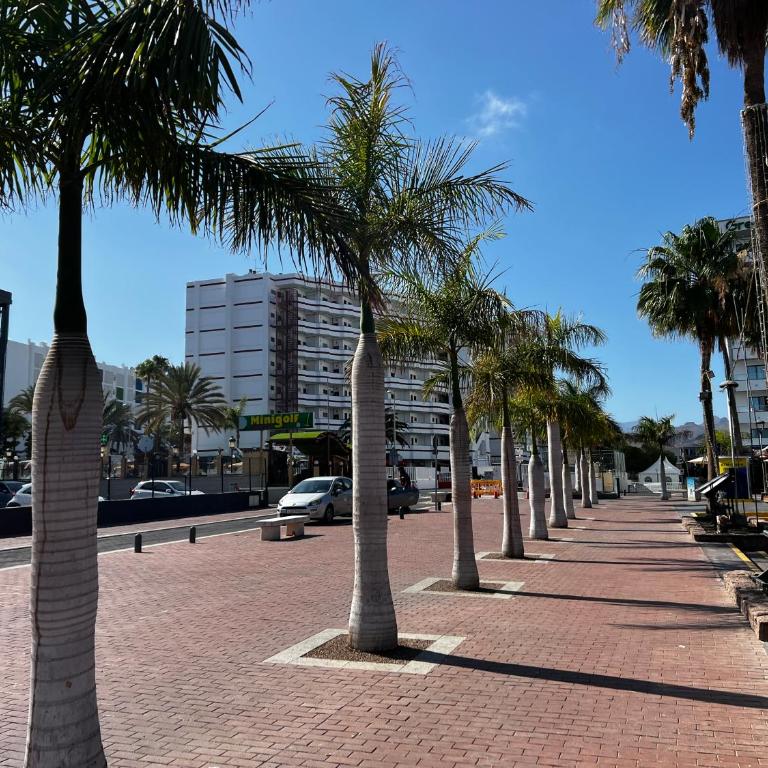 Agaete Parque Av de Tenerife Maspalomas - One-Bedroom Apartment - 21