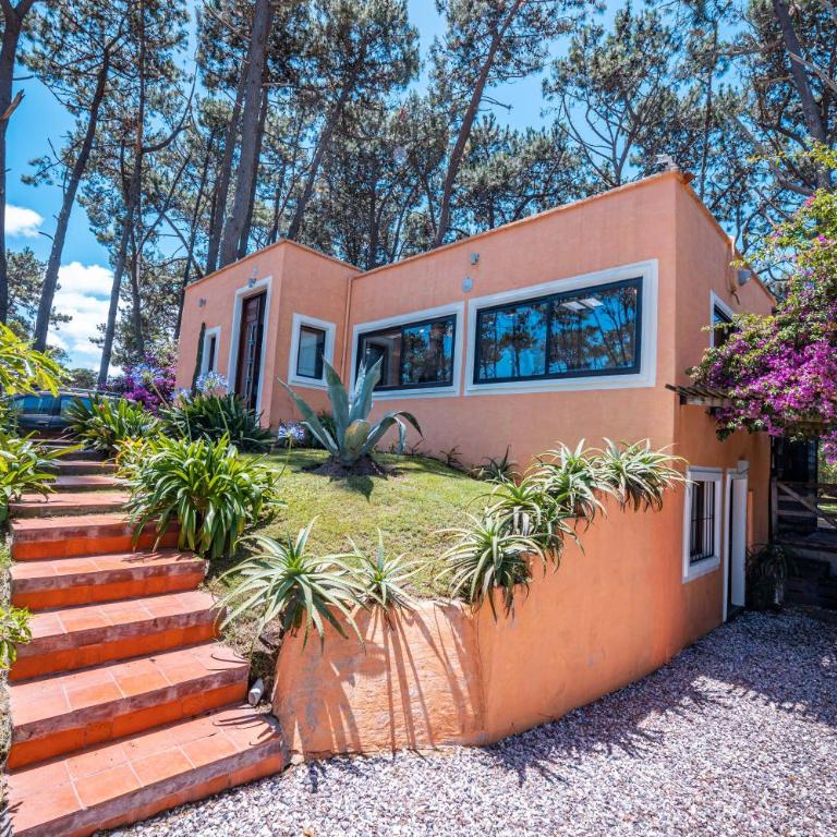 Nico - Casa de 2 dormitorios - 37