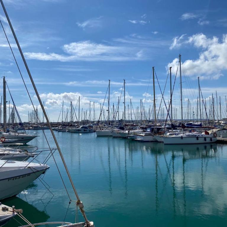 Nice and new furnished apartments in Torrevieja centre - One-Bedroom Apartment - 23