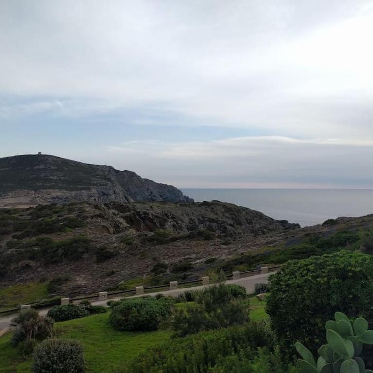 Panoramic villa on top of Capo Falcone - Villa con 2 Camere da Letto - 50