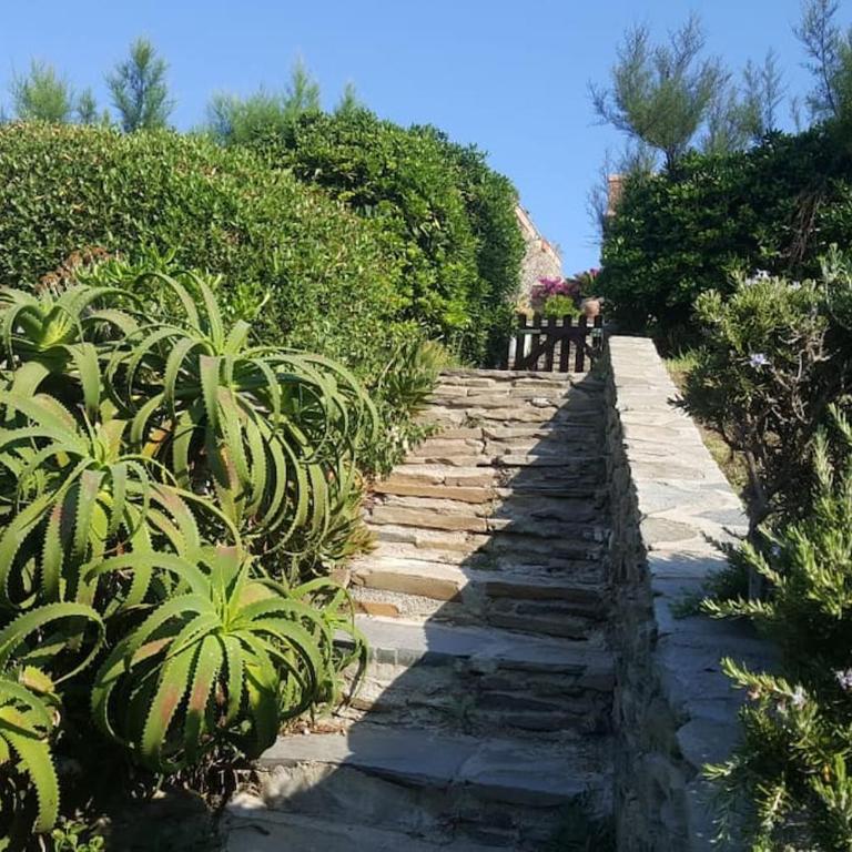 Panoramic villa on top of Capo Falcone - Villa con 2 Camere da Letto - 36