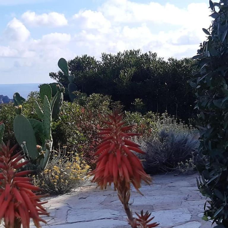 Panoramic villa on top of Capo Falcone - Villa con 2 Camere da Letto - 63