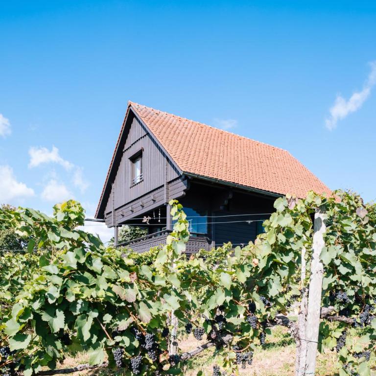 SCHILCHERLANDLEBEN - Weingartenhaus - Chalet mit 1 Schlafzimmer - 1