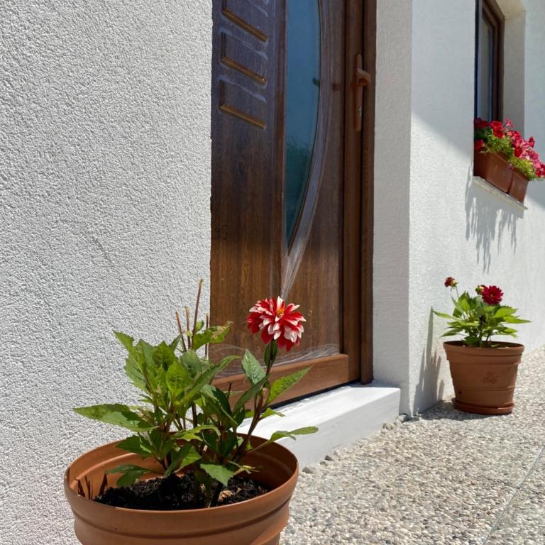 Hill House Emir - Two-Bedroom House - 5