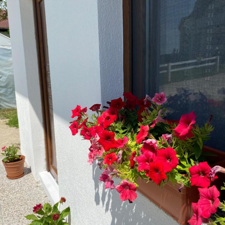 Hill House Emir - Two-Bedroom House - 2