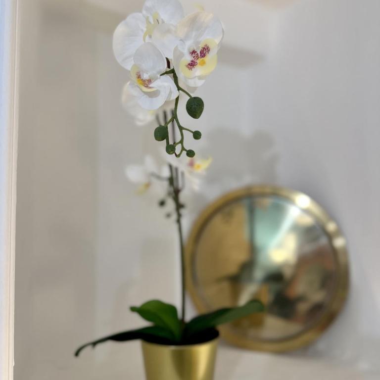 Aquarium Exclusive Loft - Private Parking - Appartamento con 1 Camera da Letto - 9