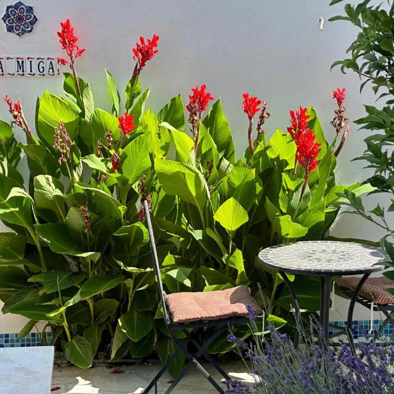 Villa La Miga - Kuća sa 3 Spavaće Sobe - 25