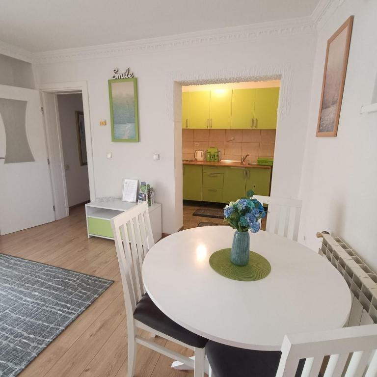 Sarah - One-Bedroom Apartment - 13