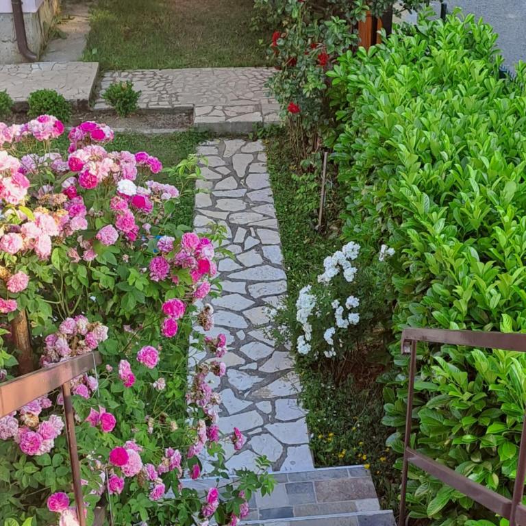 SAŠA - Apartman sa 1 Spavaćom Sobom - 2