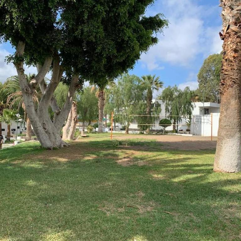 Molton Tenerife 2 - Apartamento de 2 dormitorios - 14