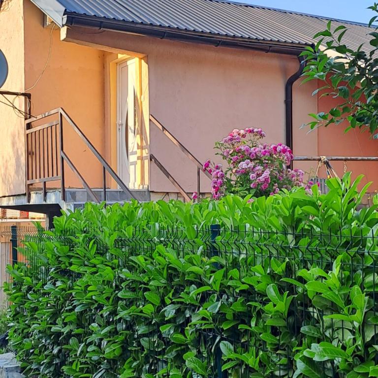 SAŠA - Apartman sa 1 Spavaćom Sobom - 9