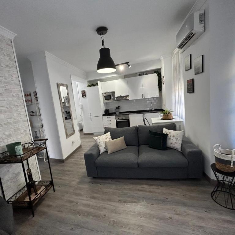 Elegante Apartamento Centro Histórico de Málaga - Apartamento de 1 dormitorio - 6