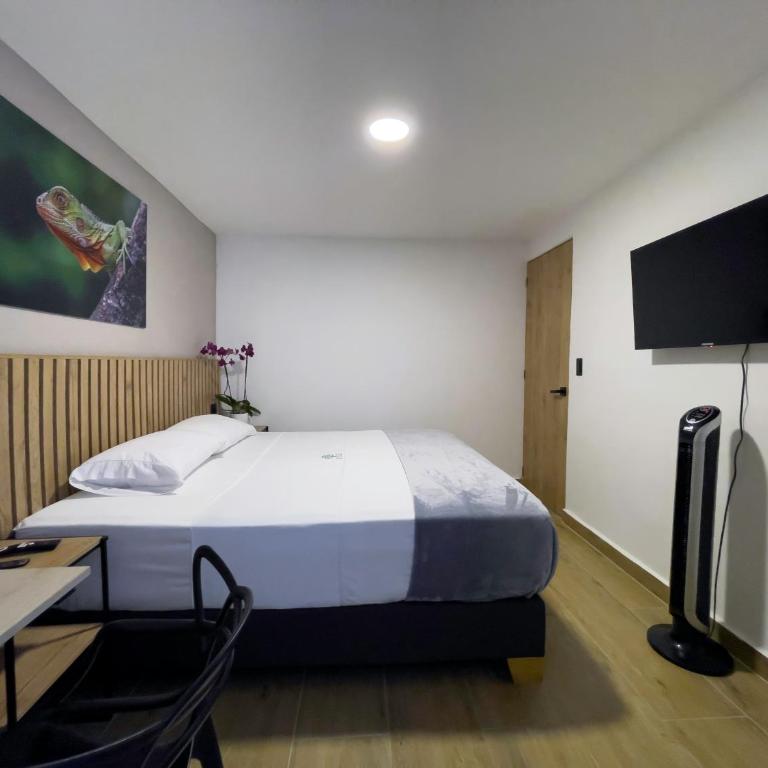 Vita Hotel Boutique - Habitación Doble - 1 o 2 camas - 3
