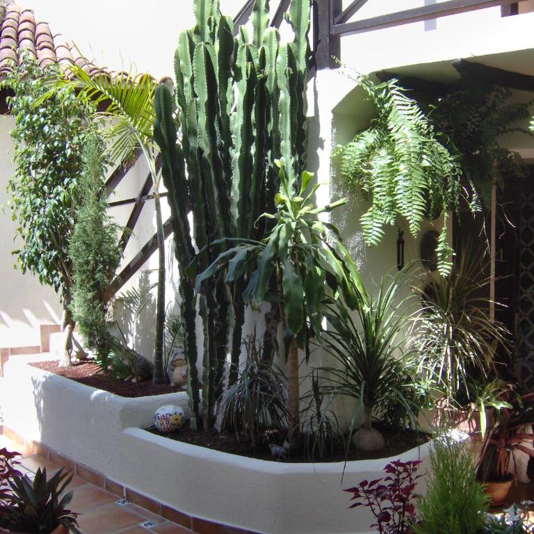 Apartamentos Monasterio de San Antonio - adults only - Apartamento de 1 dormitorio con terraza - 20