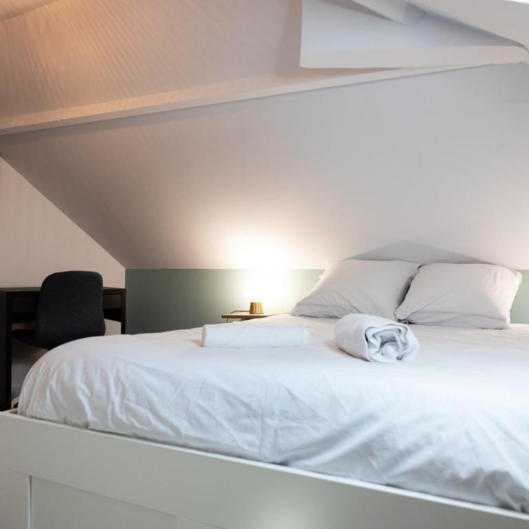 Duplex T3 moderne et lumineux Angers - Appartement 2 Chambres - 17