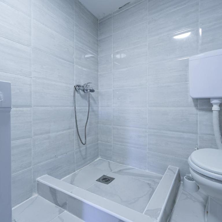 Stojkovic Family Apartments - Apartman sa 1 Spavaćom Sobom - 10