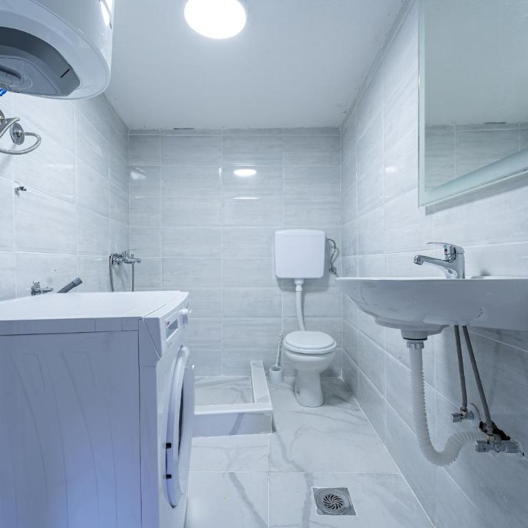 Stojkovic Family Apartments - Apartman sa 1 Spavaćom Sobom - 11