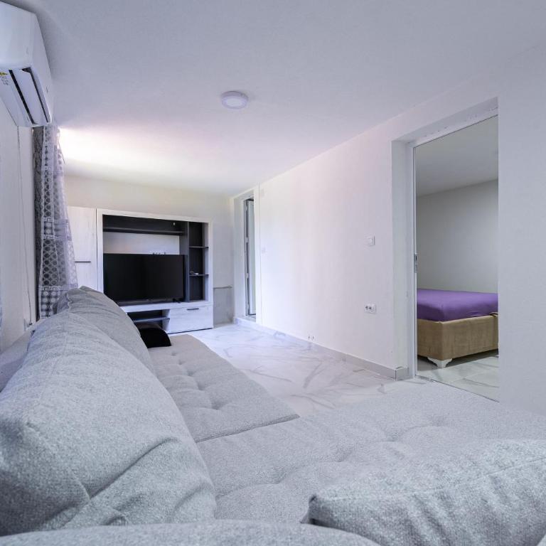 Stojkovic Family Apartments - Apartman sa 1 Spavaćom Sobom - 6