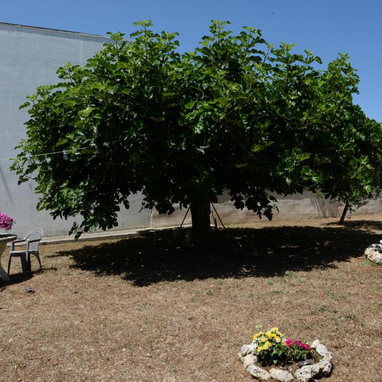 Il Giardino dei Ricordi - Appartamento con 2 Camere da Letto - 9