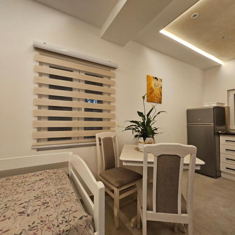 Studio apartmani Vukasin - Studio - 19