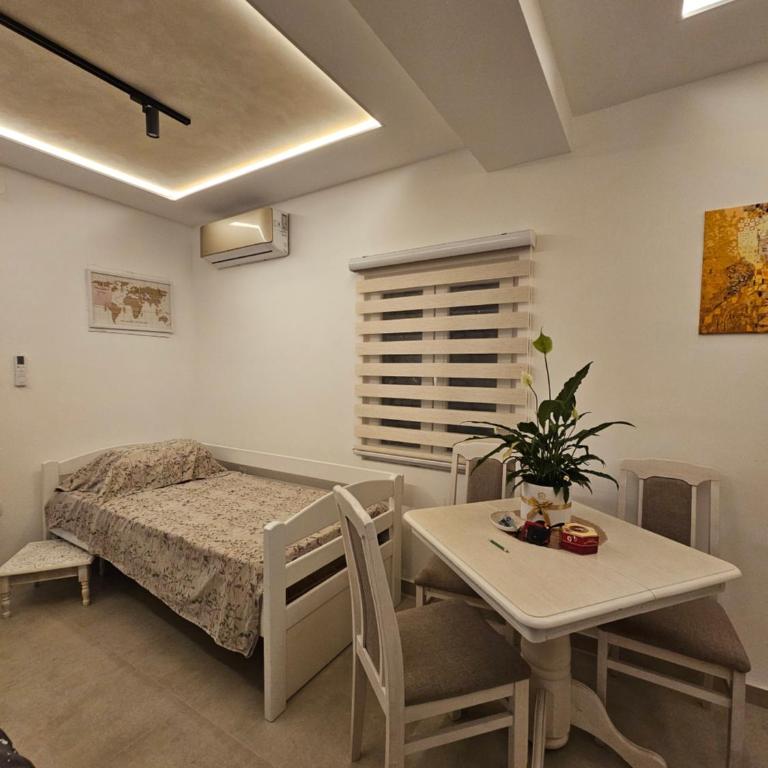 Studio apartmani Vukasin - Studio - 21