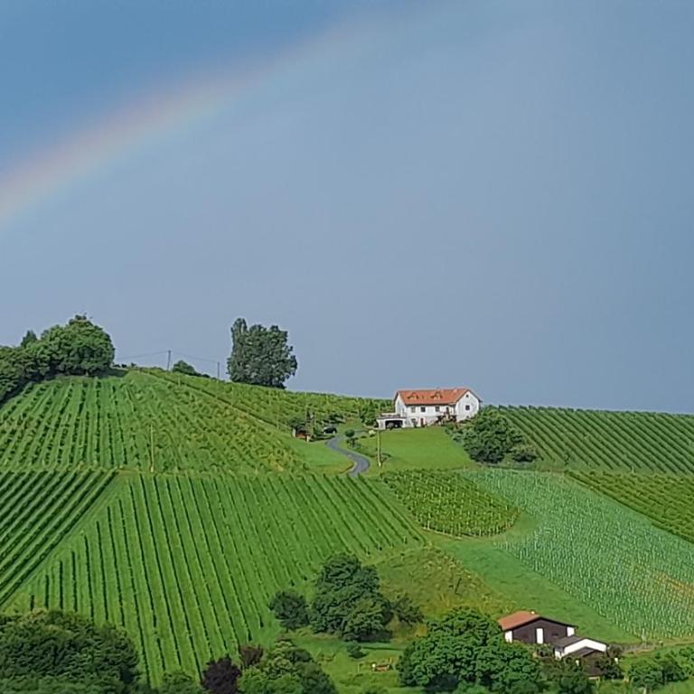 Glanz und Gloria Weingartenapartment an der Kellerstraße, viele Buschenschänke, sehr ruhige Lage, herrliche Aussicht! - Appartement - Vue sur Jardin - 29