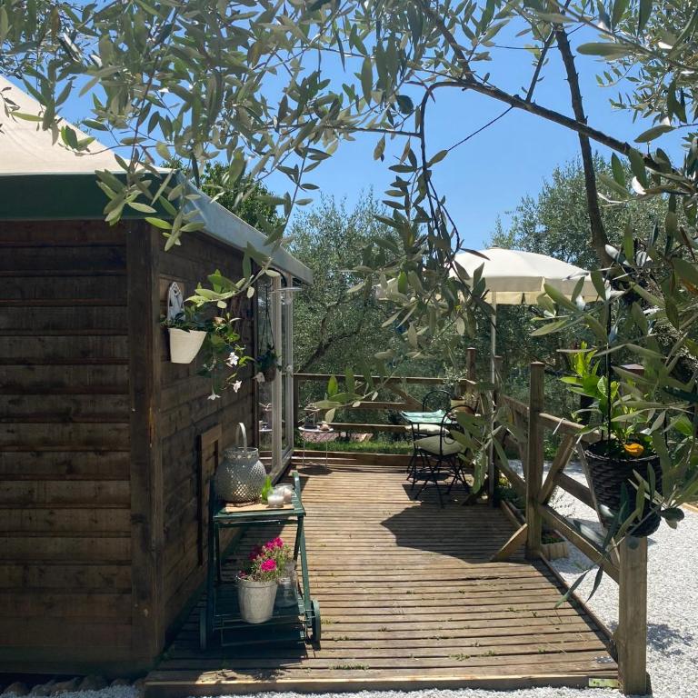 Sotto il cielo di Toscana casa vacanze no hotel service only adults - Deluxe Bungalow mit Gartenblick - 1