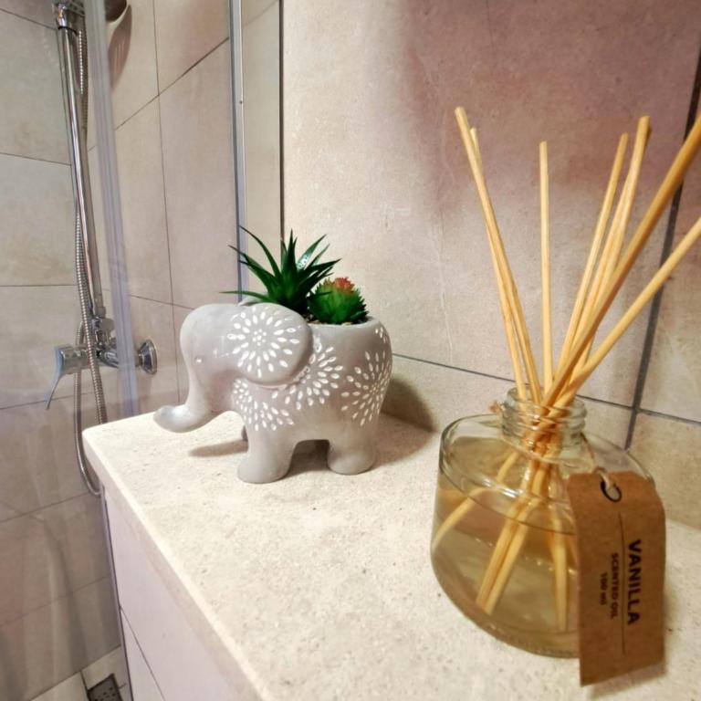 Sapore Di Mare Apartment - Kuća sa 2 Spavaće Sobe - 17