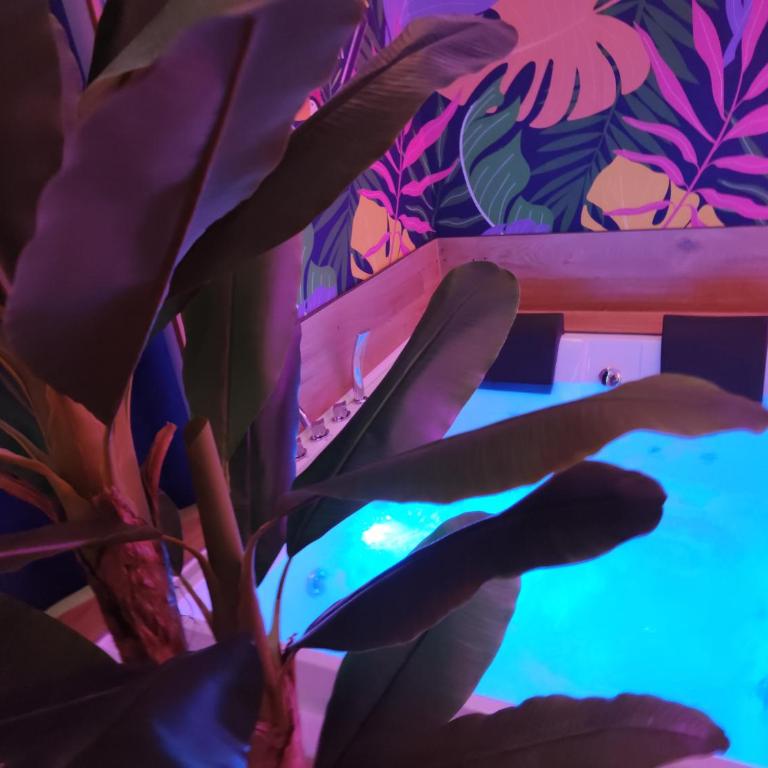 Suite Maison Tropical - Luxury Apartment con Jacuzzi - Bari Centro - Appartamento con 2 Camere da Letto - 16