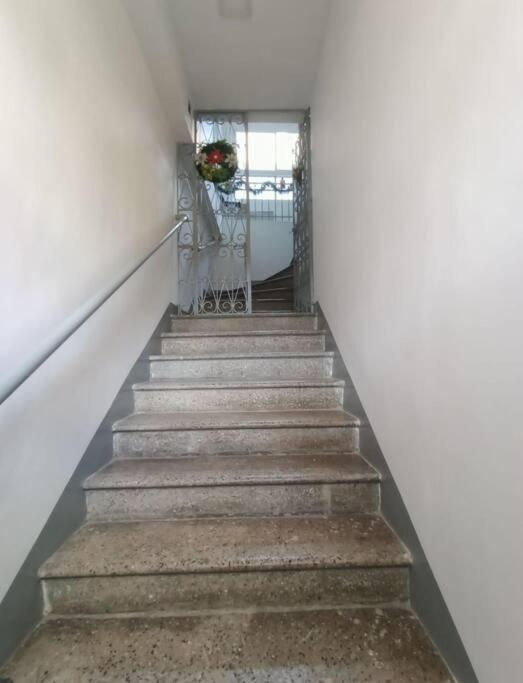 Apartamento clásico en el centro - Apartamento de 1 dormitorio - 32