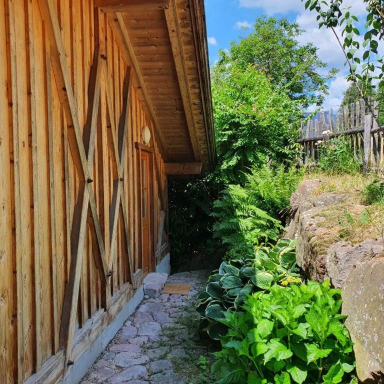 Burgerhof - Chalet de 2 dormitorios - 17
