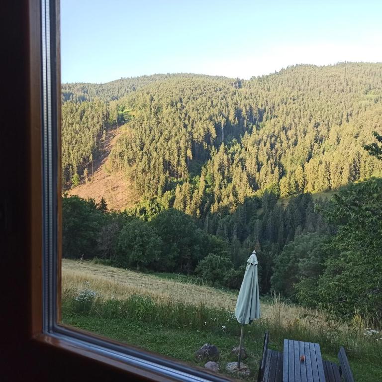 Burgerhof - Chalet de 2 dormitorios - 21