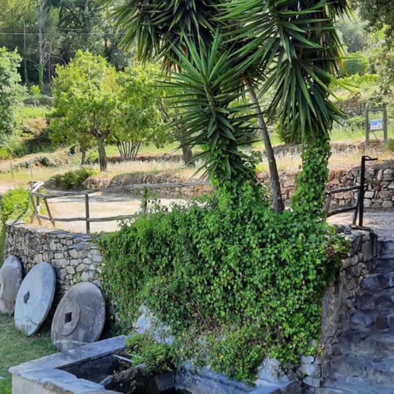 Country House Il Mulino,parking,wi-fi free - Appartamento con Vista Giardino - 7
