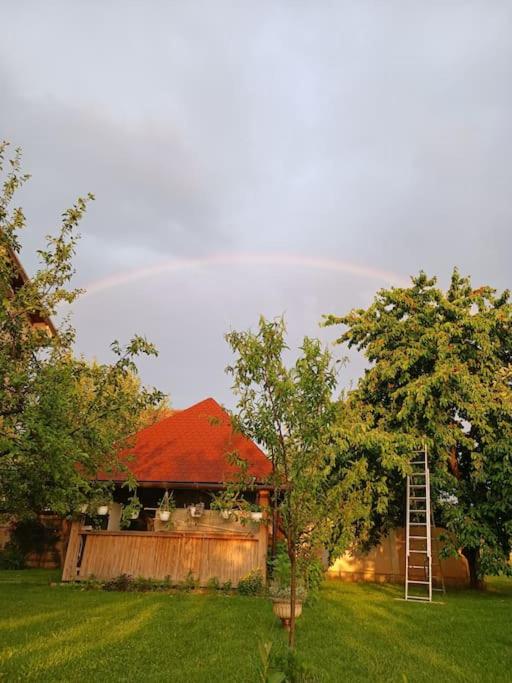 Villa Majida Ilidža - Vila - 14