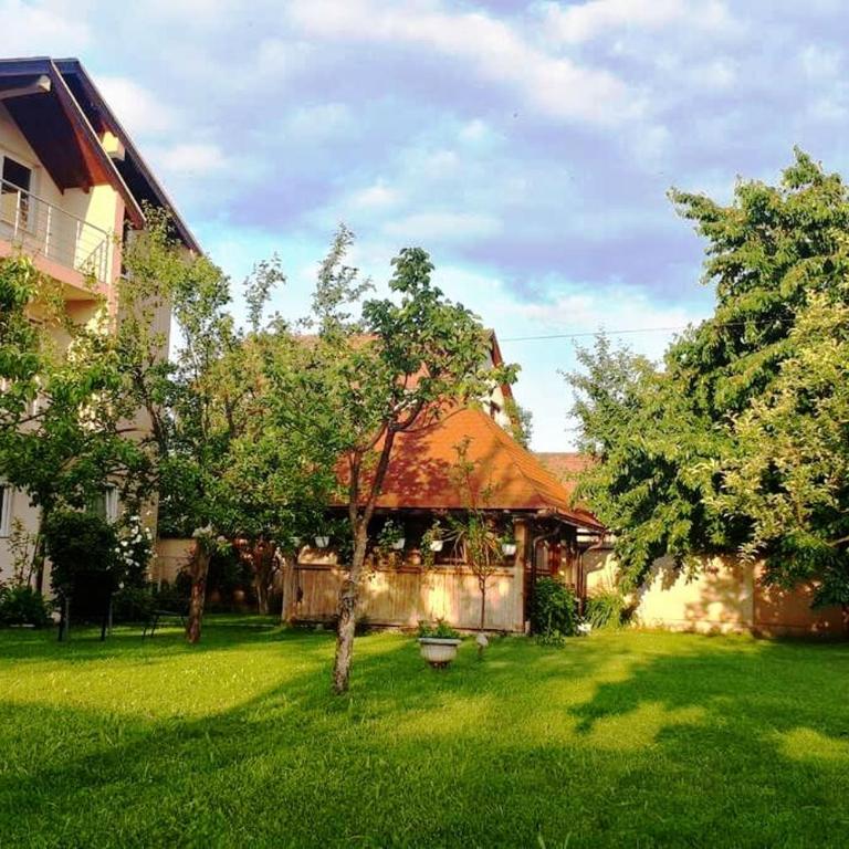 Villa Majida Ilidža - Vila - 7