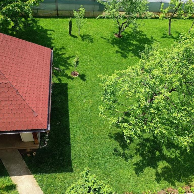 Villa Majida Ilidža - Vila - 10