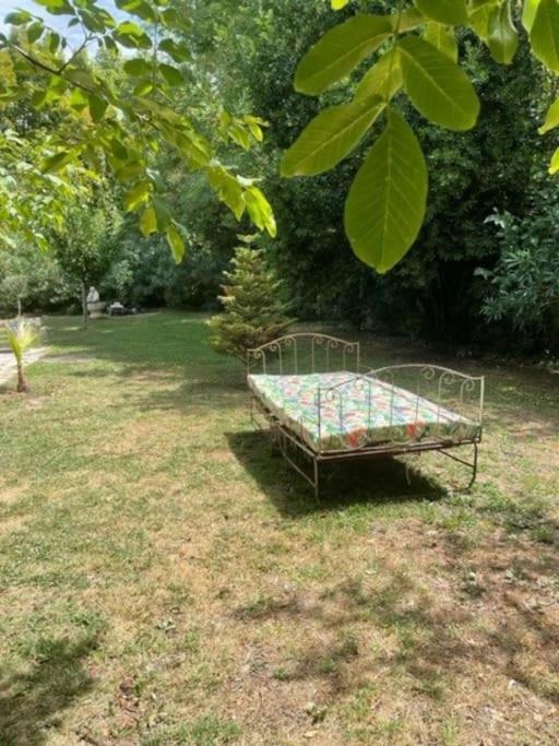 Mas de Barthe Avignon, Ile de la Barthelasse - Haus mit 3 Schlafzimmern - 10