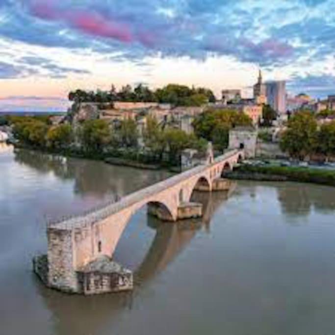 Mas de Barthe Avignon, Ile de la Barthelasse - Haus mit 3 Schlafzimmern - 15