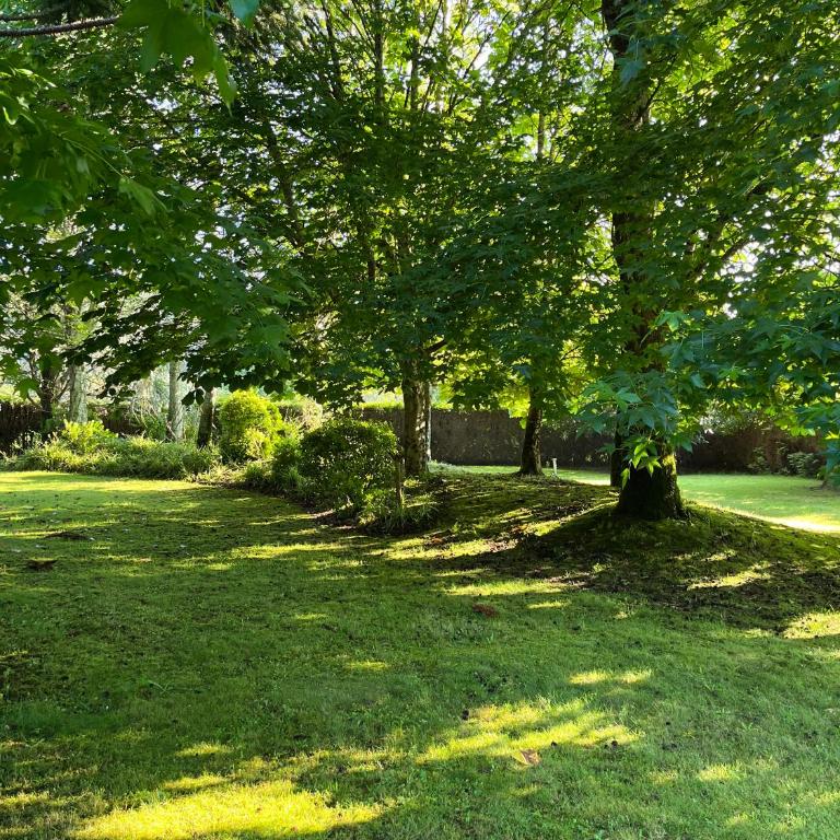 Villa Ponte Bora - Villa con vistas al jardín - 51