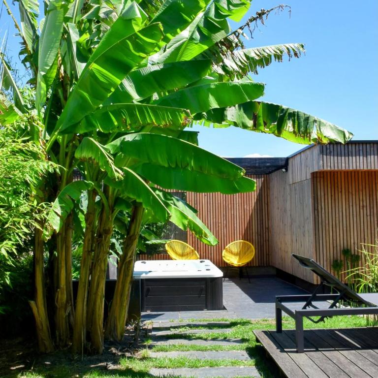 Fare Bambou - Appartement - 13