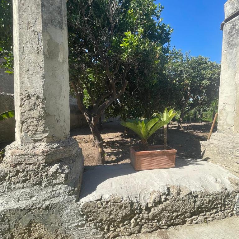 Tenuta La Torre - Vacation Home - 18