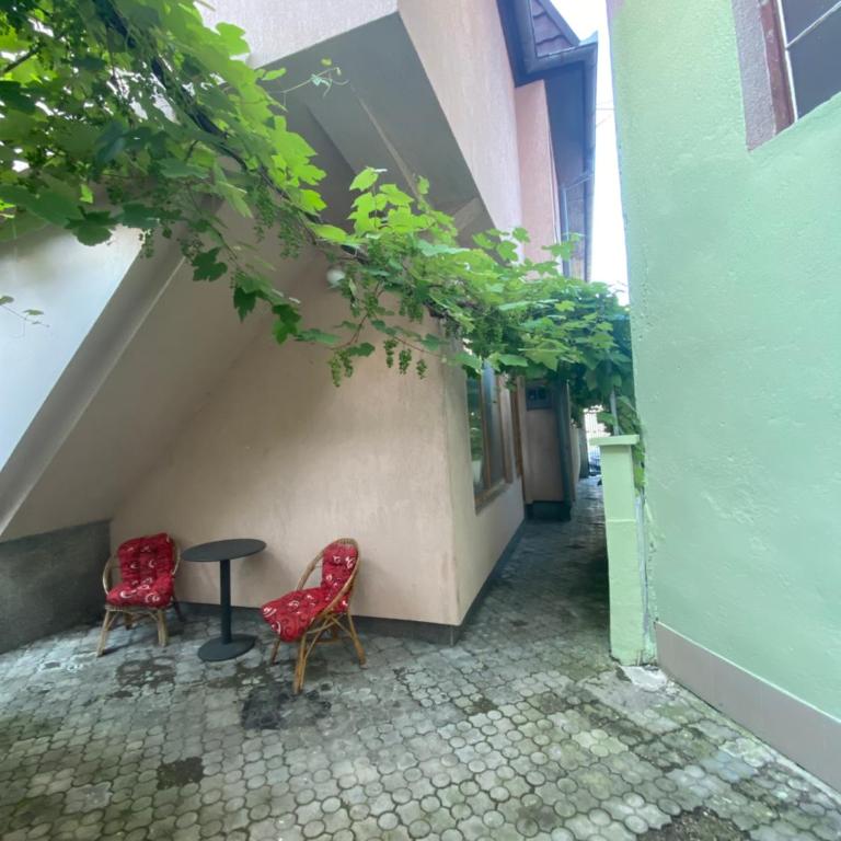 Apartment Grape Sarajevo - Apartman sa 1 Spavaćom Sobom - 7