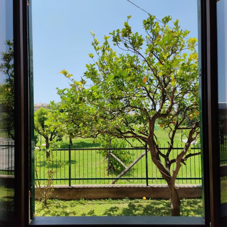 La casa tra verde e mare - One-Bedroom Apartment - 14