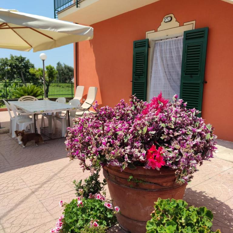 La casa tra verde e mare - One-Bedroom Apartment - 4