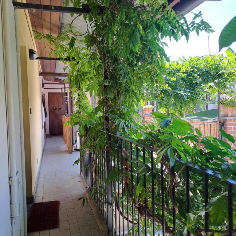 Musa Paradisiaca 6, un angolo tropicale a Torino - One-Bedroom Apartment - 25