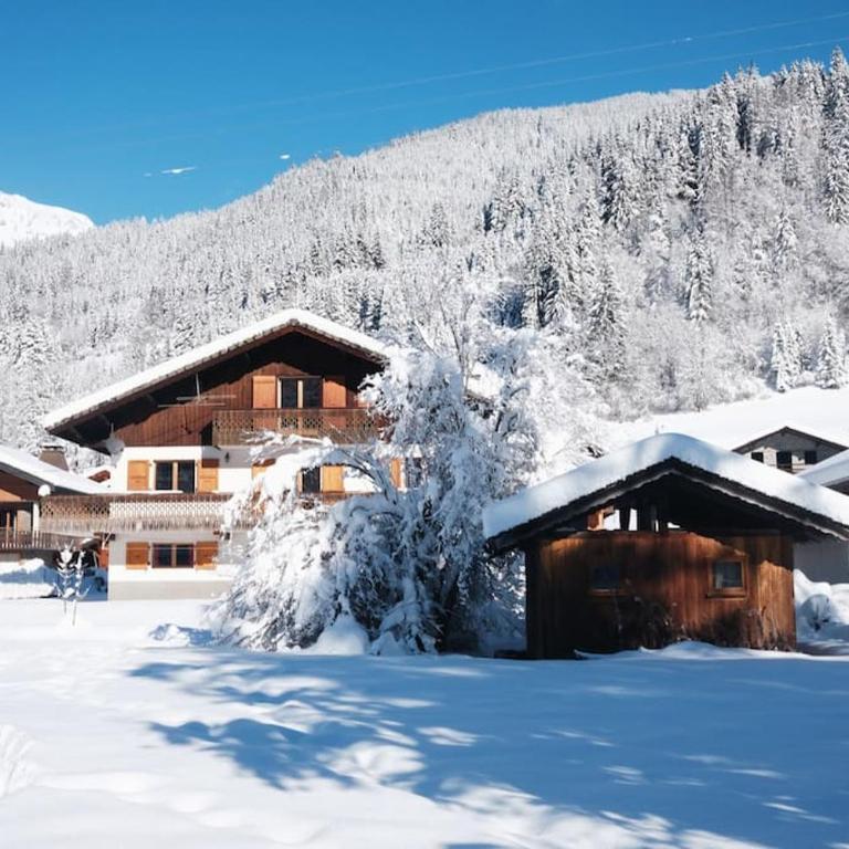 Chalet la Dransette - Chalet - 31