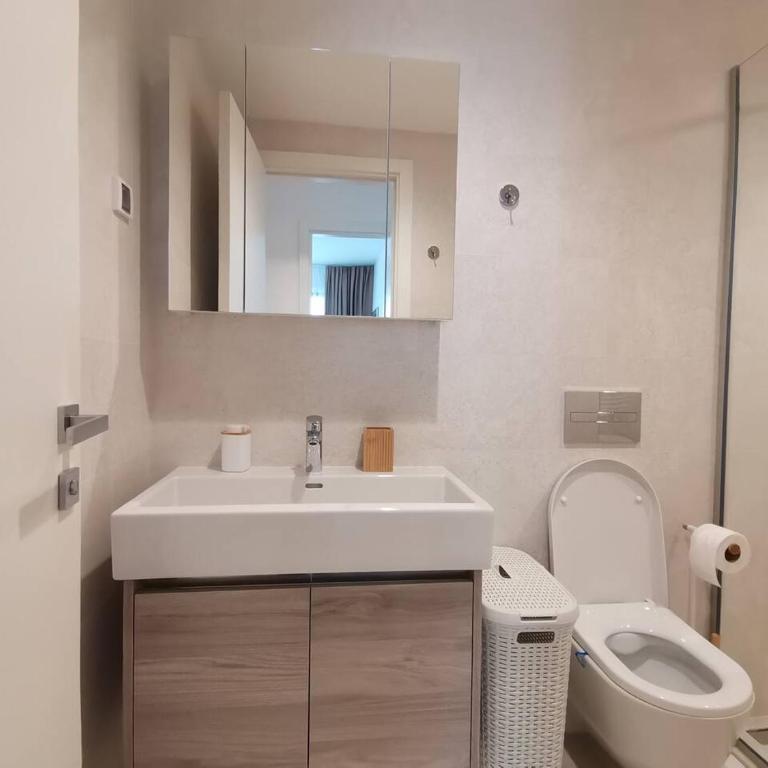 Beograd na vodi - Belgrade waterfront BW Terra, parking 10 evra dan - Apartman sa 1 Spavaćom Sobom - 18