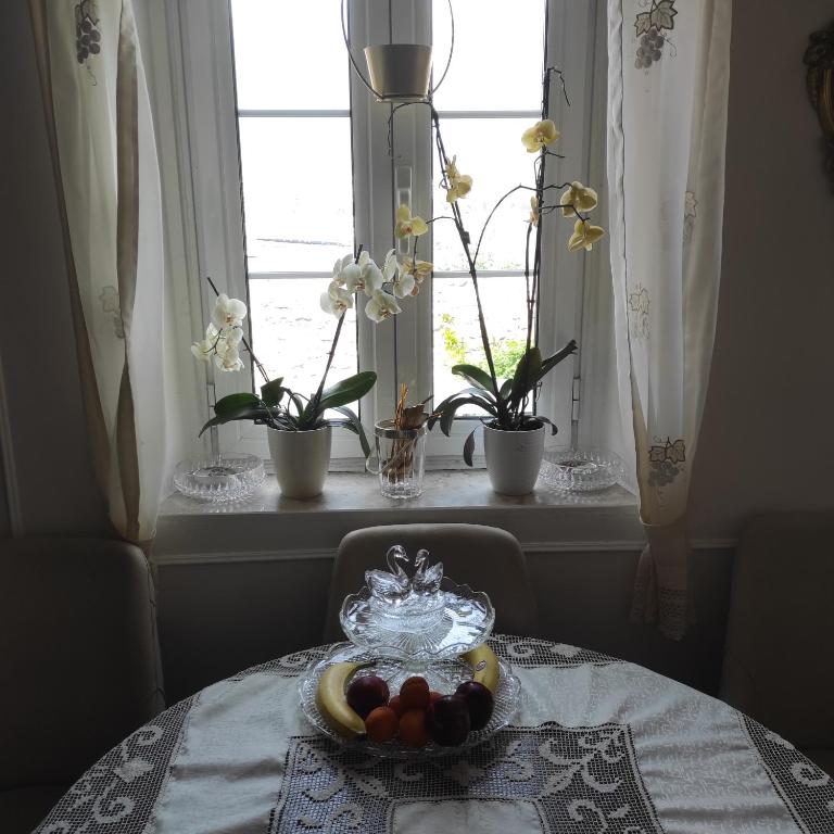 Guesthouse Bogdanovic - Apartman sa Pogledom na More - 13