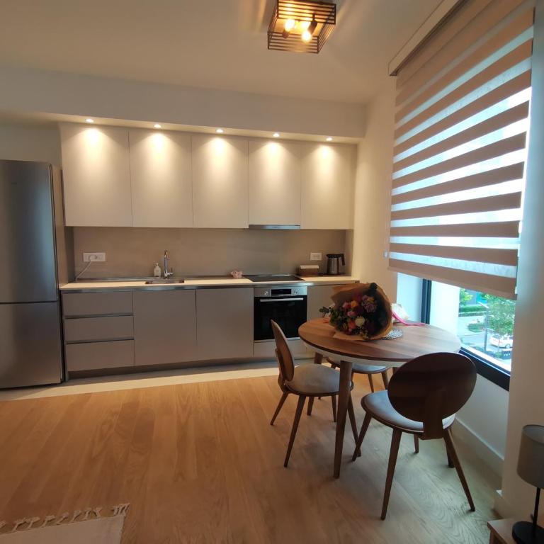 Beograd na vodi - Belgrade waterfront BW Terra, parking 10 evra dan - Apartman sa 1 Spavaćom Sobom - 3