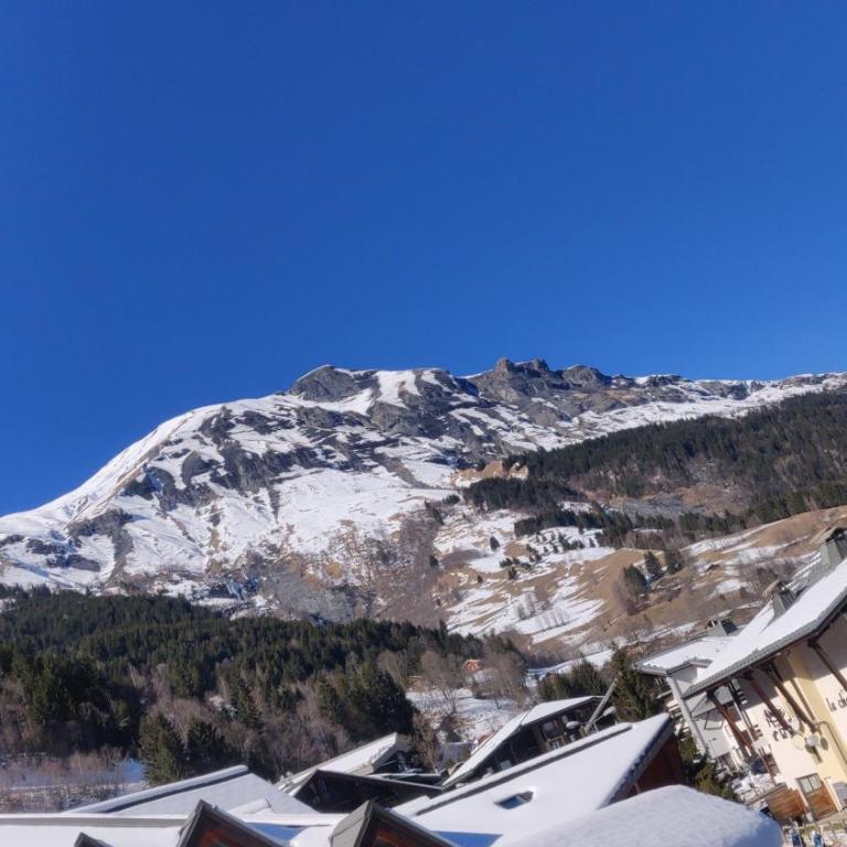 Appartement O'Contamines - Appartement 1 Chambre - 5
